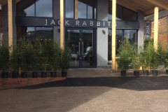 Jack Rabbit's external view