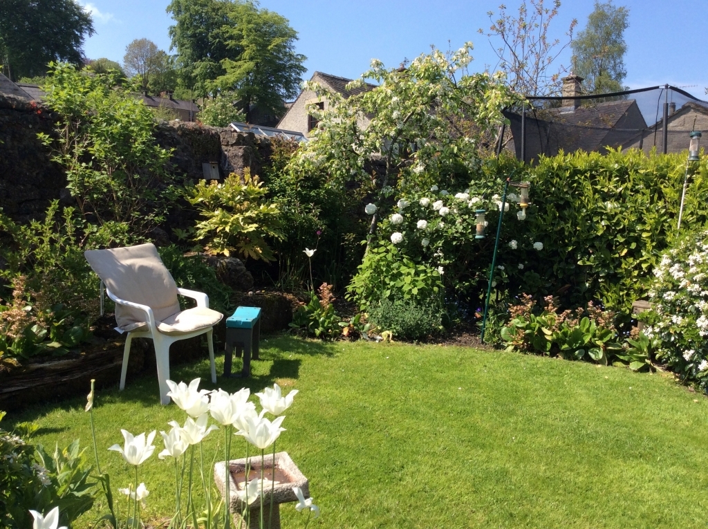 My desk in the garden