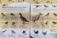RSPB Garden Bird Watch 2017
