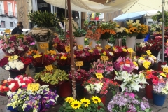 A colourful flower display