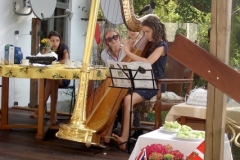 Sofia, 12-year old harpist
