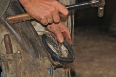 A Derbyshire farrier shoeing a horse