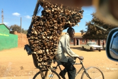 Firewood transporter, Malawi