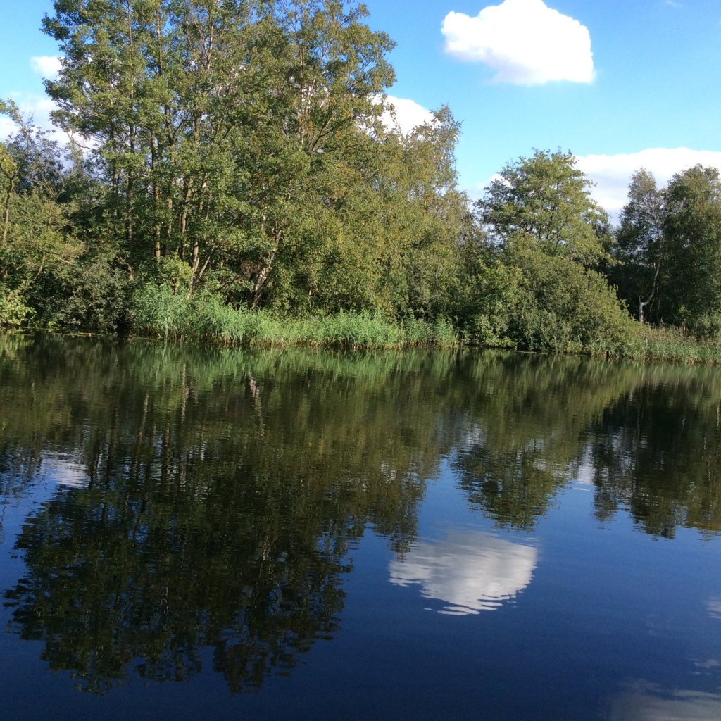 Peaceful Reflections