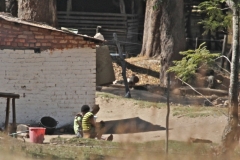 Local scene, Zambia