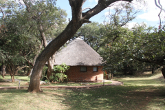 Lilayi Lodge, Zambia June 2015