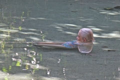 Kapishya Hot Springs