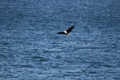 IMG_0039