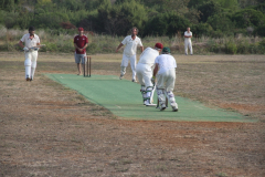 Hostes, cricket & Vis