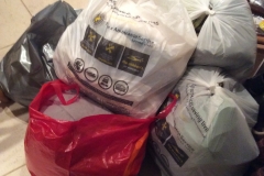 First Five Bags Today