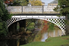 The Bridge in the Park