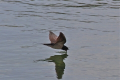 IMG_4745 copy 2