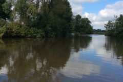 A peaceful scene