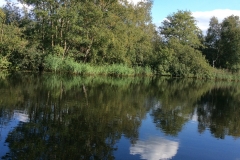 Peaceful Reflections