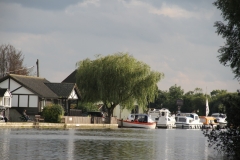 Another Broadland riverside scene, on the Bure