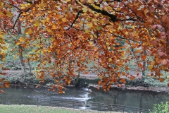 The Manifold in Autumn