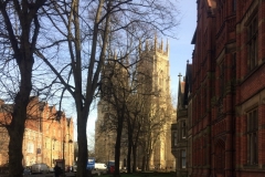 York Minster through the trees