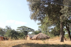 A local scene, Zambia