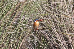 IMG_0669-1012x1024
